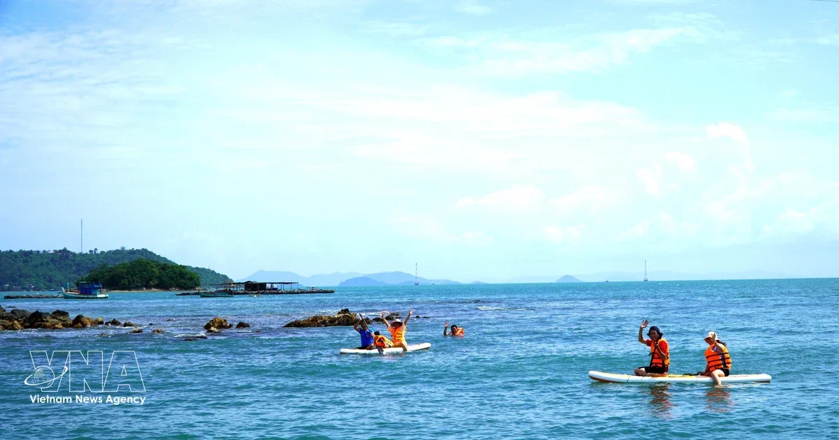 Вьетнам демонстрирует уверенный рост туристического сектора в первом квартале, укрепляя свою репутацию безопасного и привлекательного направления.