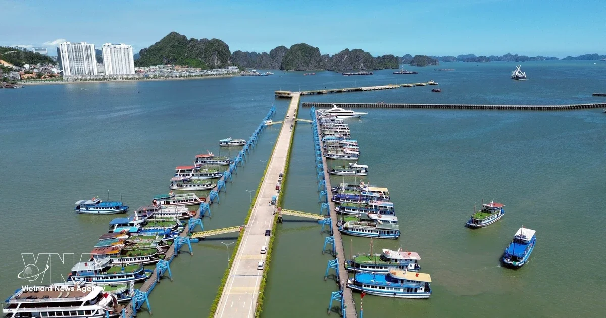 Запущен морской тур, соединяющий бухты Халонг и Ланха