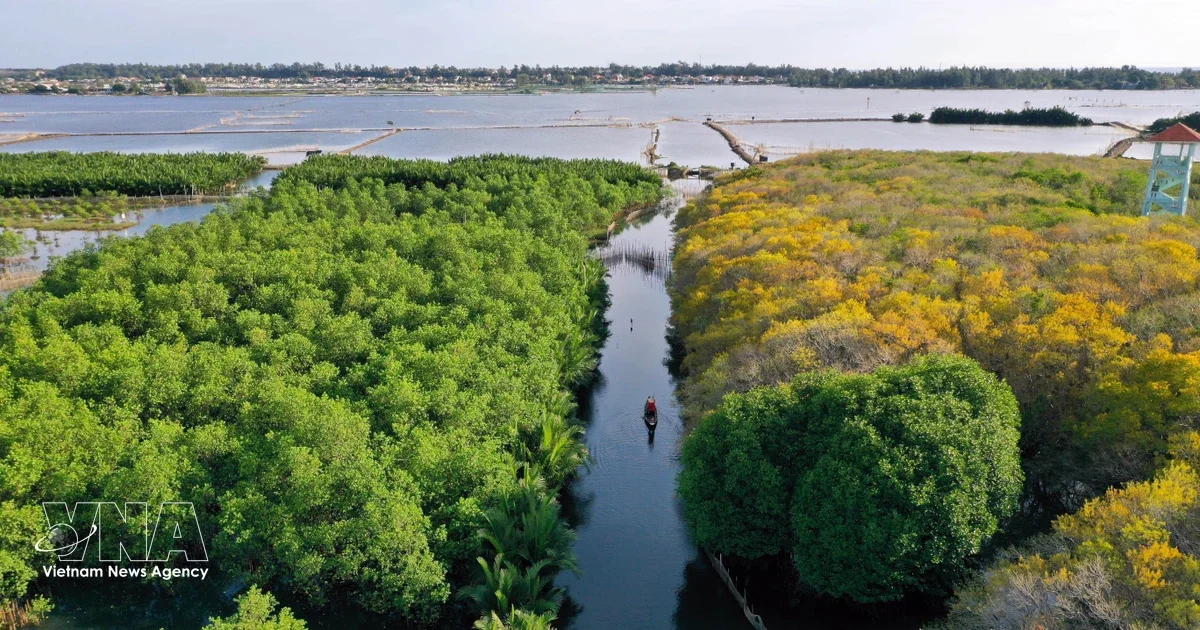 Хюэ нацелен на то, чтобы стать ведущим городом зеленого туризма во Вьетнаме