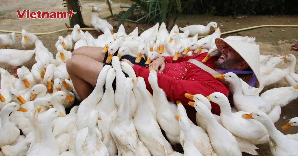 Погрузитесь в уникальный опыт "массажа утки" и катания на буйволе в Фонг Нха